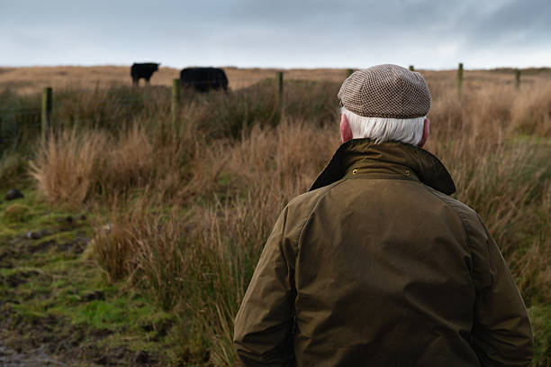 istock Farmer looking at beef cattle in a field 2248205538