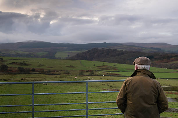 istock Senior farmer looking at sheep in a field 2248205563