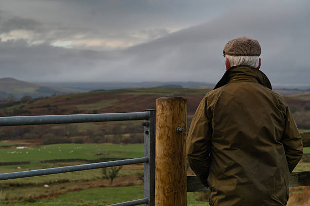 istock Senior farmer looking at sheep in a field 2248205644