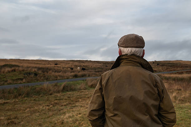 istock Farmer looking at beef cattle in a field 2248205742