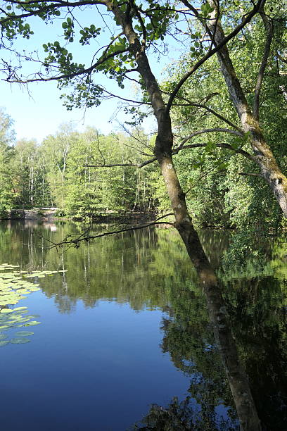 istock Kesselbruchweiher, a pond near Frankfurt 2248210291