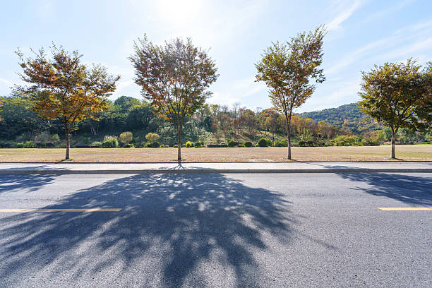 road in city