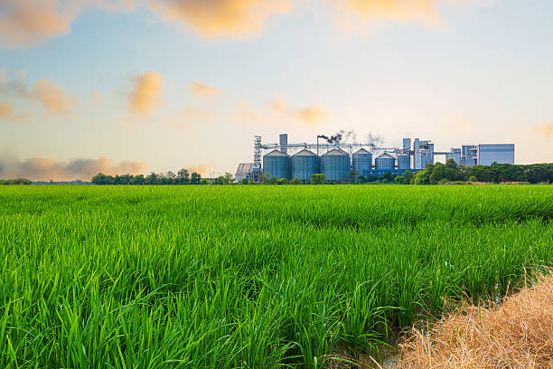 istock Industrial factories surrounded by green rice fields,Industrial plants and fields,Industrial plants and green fields,Agricultural industry, modern factory on green area with steel elevator, industrial building and barn under blue sky. 2248213909