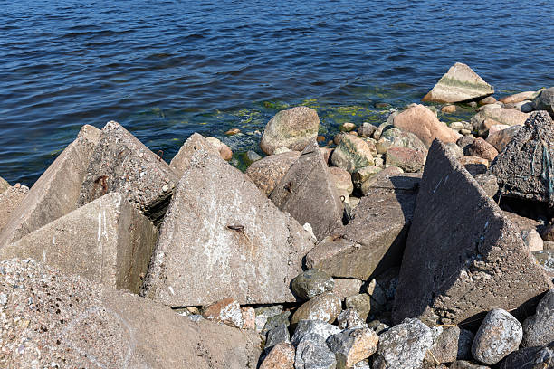 Rugged rocky shoreline features concrete breakwater blocks and tetrapods along a calm blue sea. The scene evokes coastal protection, rugged nature, and maritime infrastructure