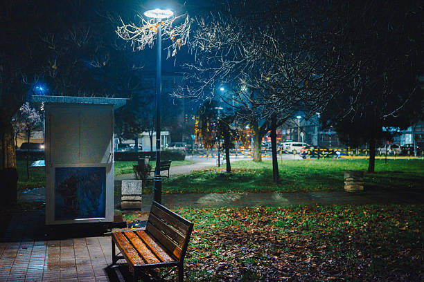istock Night scene from a small park in November 2248216089