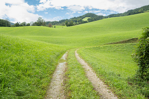 istock Sunny Mountain Valley Path Surrounded by Green Meadows on a Peaceful Summer Day 2248216810