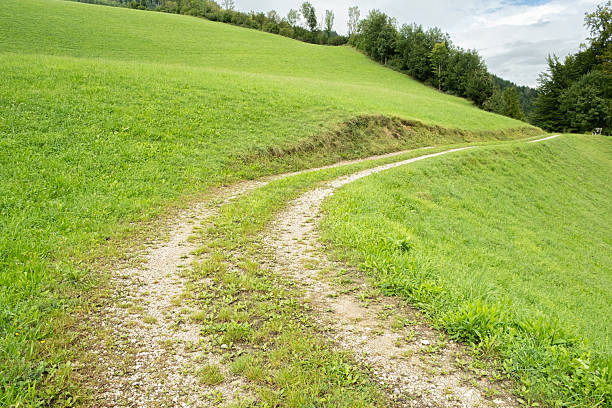 Sunny Mountain Valley Path Surrounded by Green Meadows on a Peaceful Summer Day.