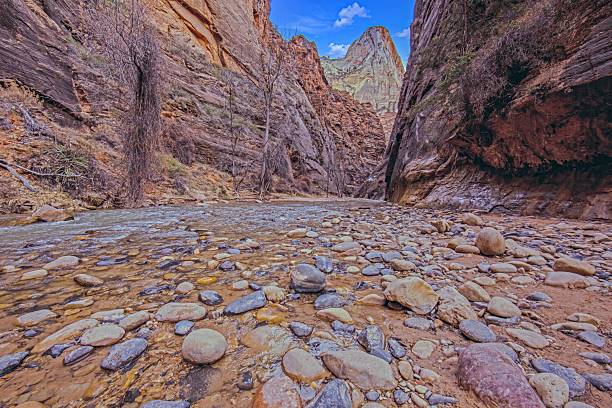 Winter canyon scene in Zion National Park with sandstone cliffs, river and snowy terrain.