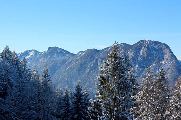 Tall, snow-covered peaks rise majestically against a cloudless blue sky. Evergreen trees surround the scene, showcasing the quiet beauty of winter in the mountains.