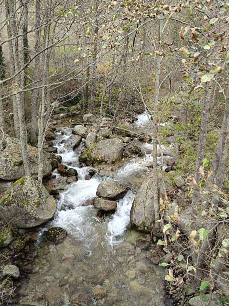 istock The image shows a mountain stream with water flowing between rocks, 2248226969