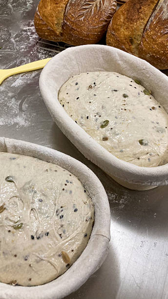 Raw sourdough bread dough resting in a banneton proofing basket before baking, showing the second fermentation stage.