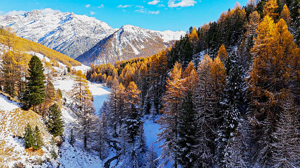 istock Sunrise over snowcapped mountains and forest in autumn 2248235737