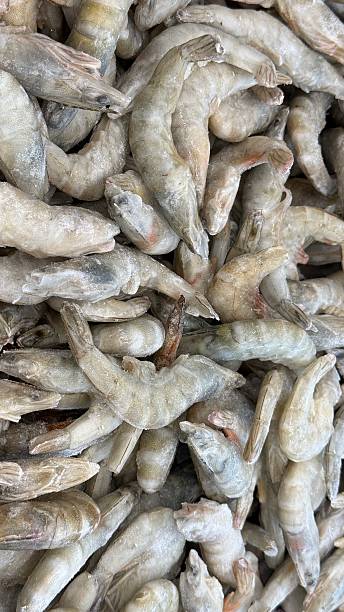 istock Frozen shrimp pile ideal for seafood background or culinary concept with copy space available 2248236457