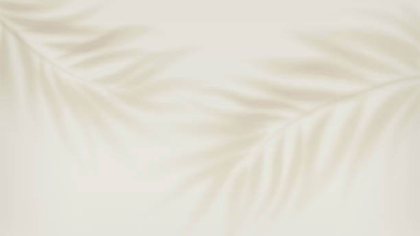 istock Cream Silk Fabric Background With Soft Waves For Elegant Design And Calm Mood Texture 2248237612