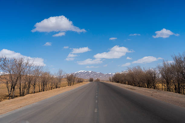 istock Straight road lined with dry trees under a bright blue cloudy sky 2248239560