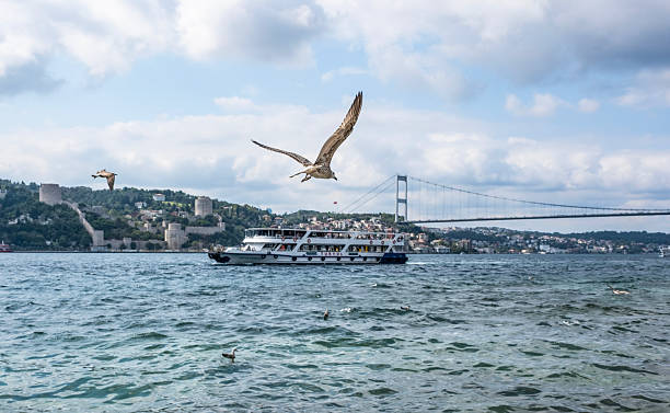 istock A boat sailing on the Bosphorus, a seagull flying above, a blue and cloudy sky and the Bosphorus Bridge. 2248243971