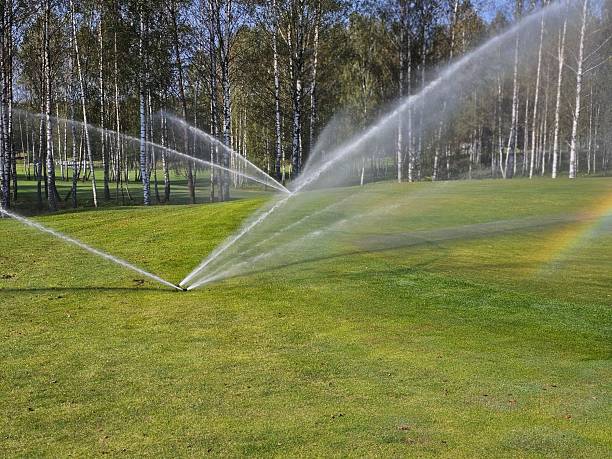 istock Watering grass with sprinklers in a sunny park surrounded 2248246772