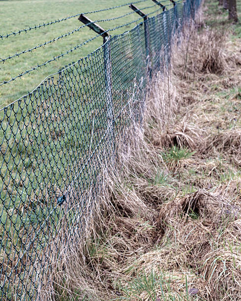 istock Barbed wire and chain link fence protecting grass field 2248246953
