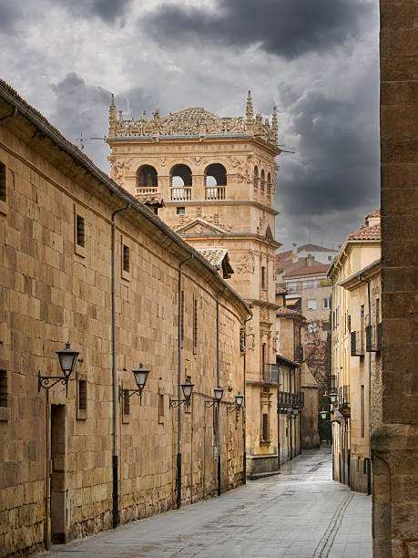 Compañía Street with the Monterrey Palace in the background in the city of Salamanca