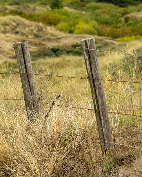 istock Old barbed wire fence protecting sand dunes in nature preserve 2248247295
