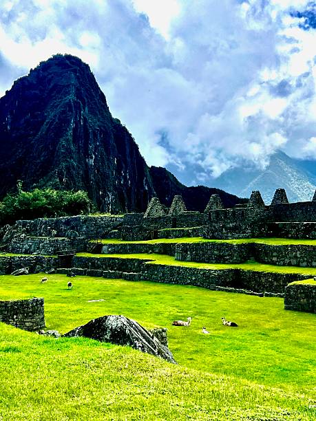 istock Historic Stone Terraces at Machu Picchu” 2248249958
