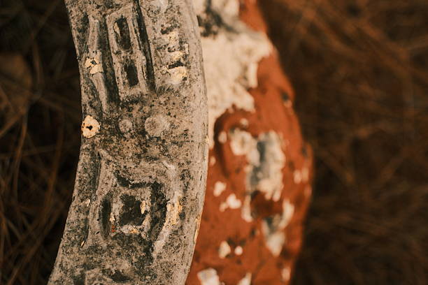 A detailed close-up of a weathered, chipped clay pot with peeling paint and textured surface, resting on a forest floor covered in dry pine needles.