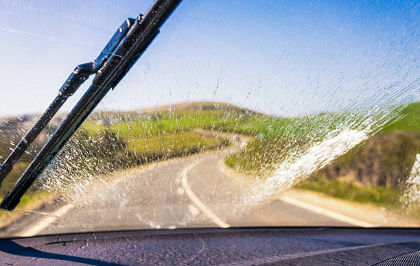 istock Clearing the screen on a drive in Spring 2248251958
