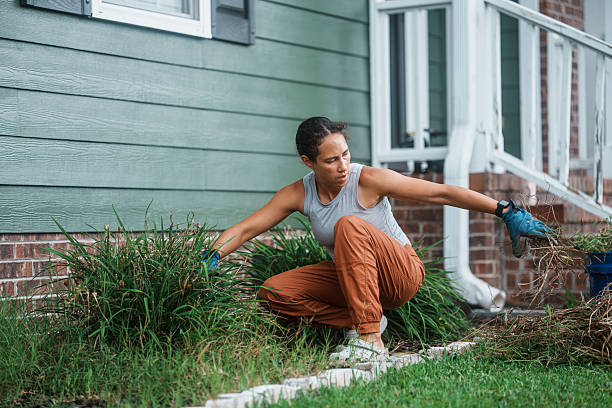 istock Woman Tending Garden Bed on Summer Day 2248253873