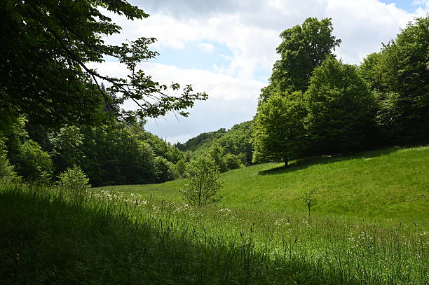 istock the Laubach Valley in the Westerwald 2248255599