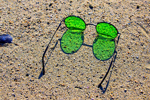 sun glasses on the beach