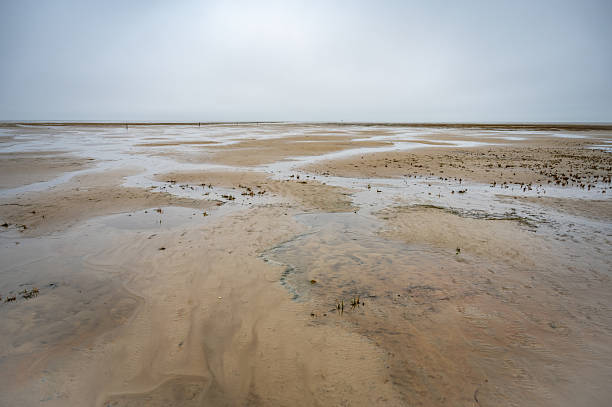 A vast, flat, and expansive sandy landscape stretches out under a cloudy sky, with patches of water and sparse vegetation scattered across the terrain, St Peter Ording, North Sea, Germany