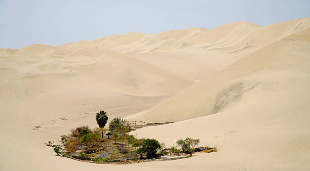 Sand Dunes. Huacachina Desert in Peru.