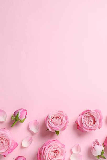 istock Beautiful composition with pink roses on color background 2248266407