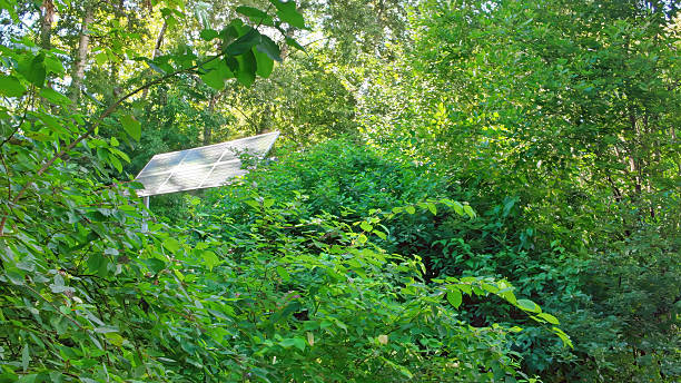 istock Photovoltaic Solar Panel Surrounded by Wild Nature 2248268492