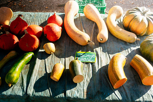 Pumpkins with different shapes for sale in a farmer's market
