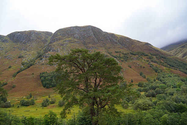 Glen Nevis is a valley near Fort William