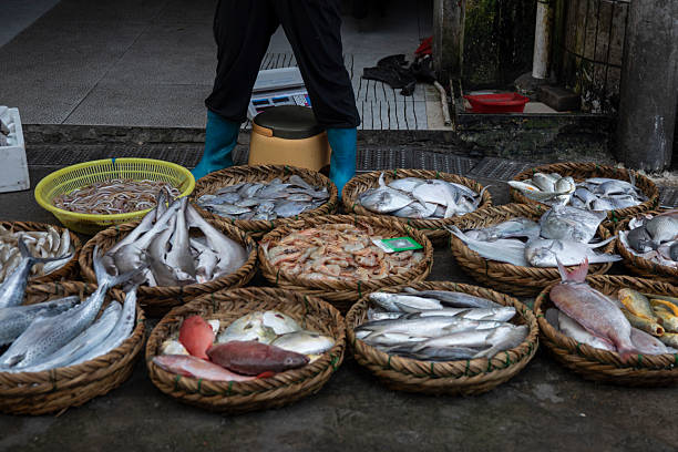 istock Newly caught fish in market 2248278352