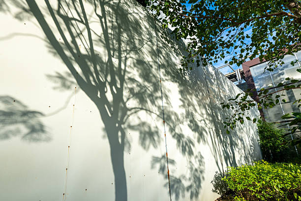 istock The shadow of the tree on the wall 2248281167