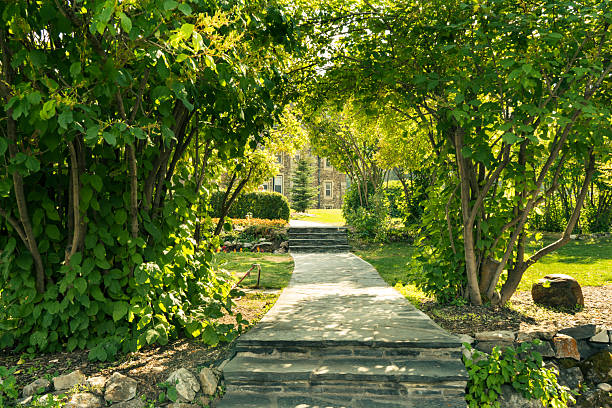 A scenic pathway with lush greenery and trees leading towards a building. Banff, AB
