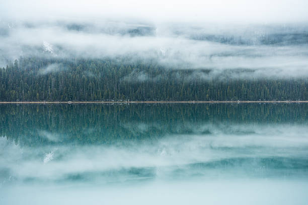 A foggy forest reflects in the still water, creating a mirror-like image. Emerald Lake, BC