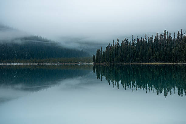istock Calm lake reflects forest and fog, creating a tranquil natural scenery. 2248284330