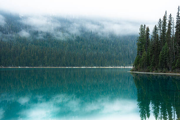 Still emerald lake reflecting a misty forest landscape on a cloudy day. Emerald Lake, BC