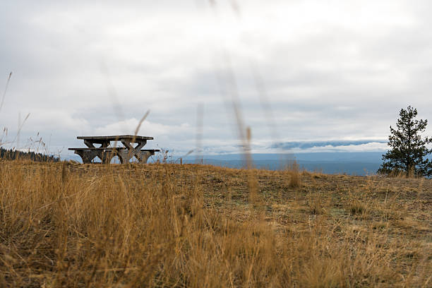 A rustic picnic table on a golden grassy hill under a cloudy sky. Radium Hot Springs, BC