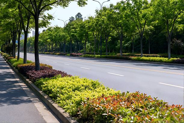 istock Urban road greening landscape 2248284611