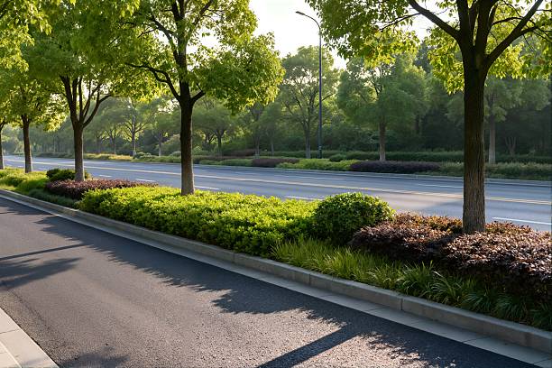 istock Urban road greening landscape 2248284613