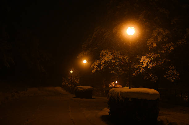 Park at night. Light lamps in city. Winter in city at night. Details of urban environment.