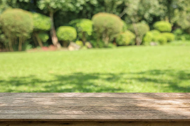 istock Empty wood table top with abstract blur park garden background 2248285619