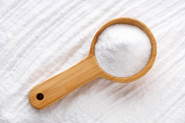 Natural stevia sugar substitute - Stevia rebaudiana