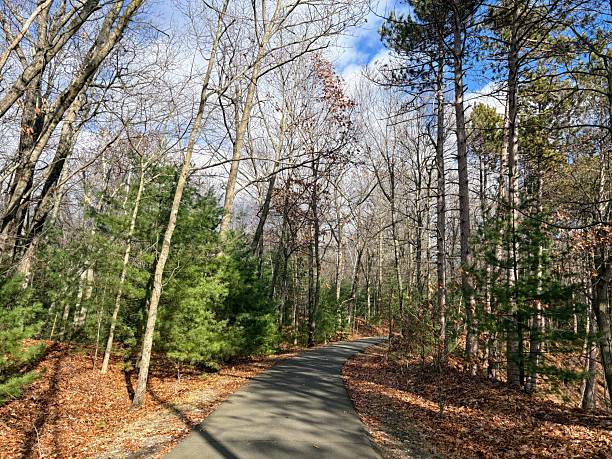 istock Chicopee Memorial State Park, Massachusetts 2248287364