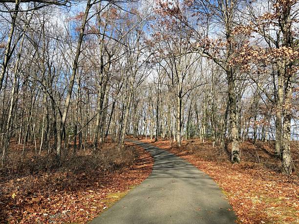 istock Chicopee Memorial State Park, Massachusetts 2248287713